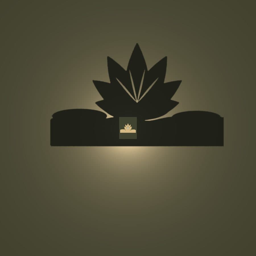 Lotus shadow lamp